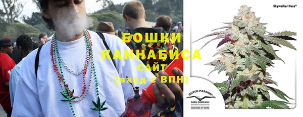 стафф Мегион