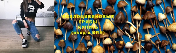 меф Медногорск
