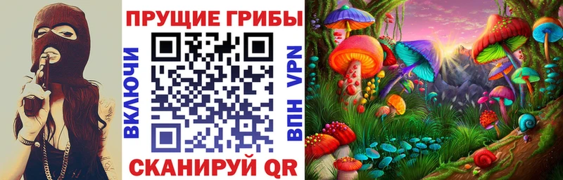 Псилоцибиновые грибы Psilocybe  Купить где  Бакал 